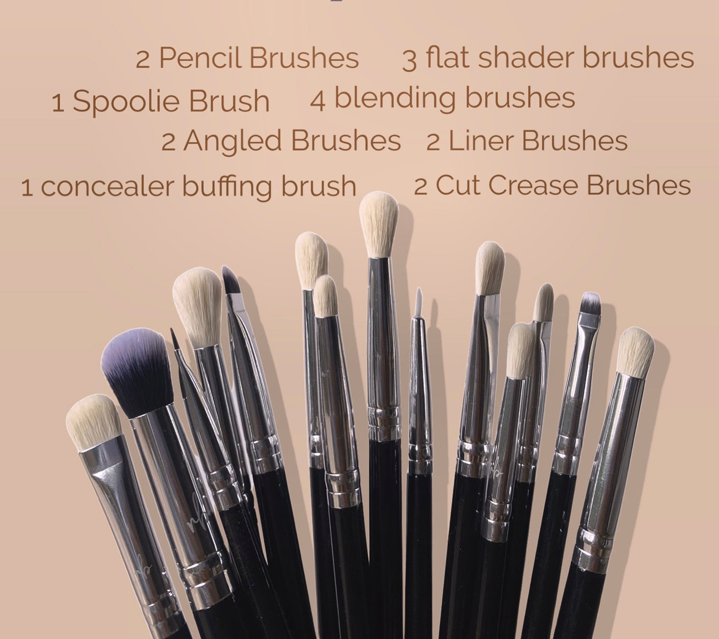 Pro Eye Makeup Brushes